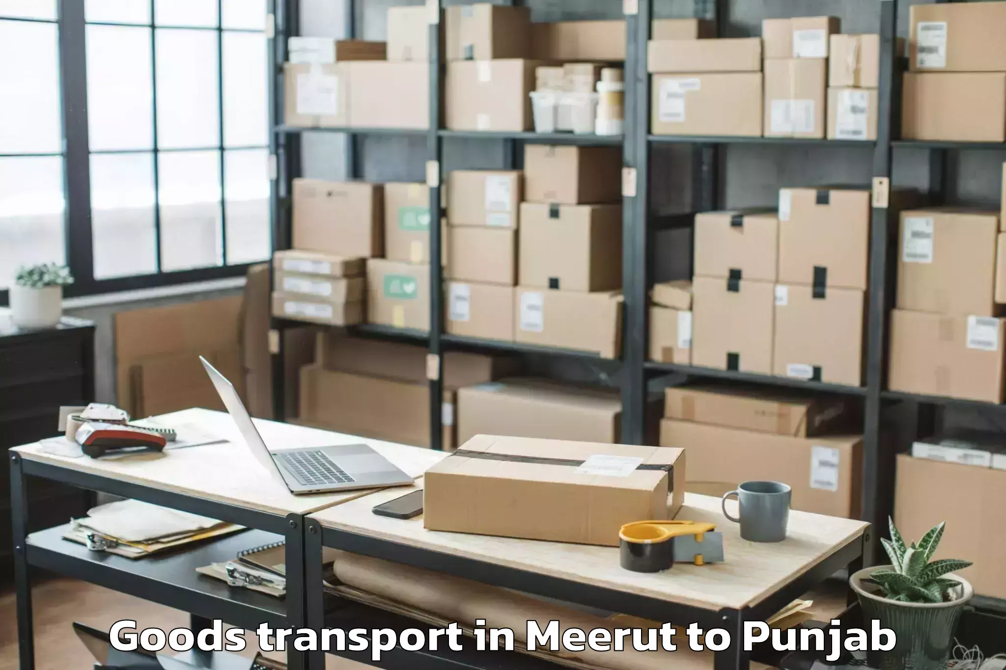 Professional Meerut to Batala Goods Transport